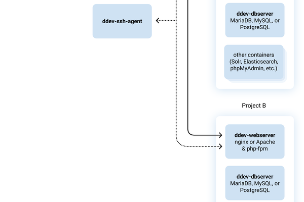 DDEV Container Architecture