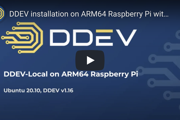 Screen grab of video’s title frame